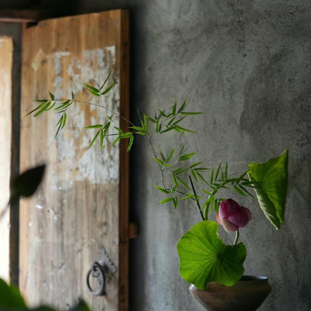 陪我过个冬h n❄️