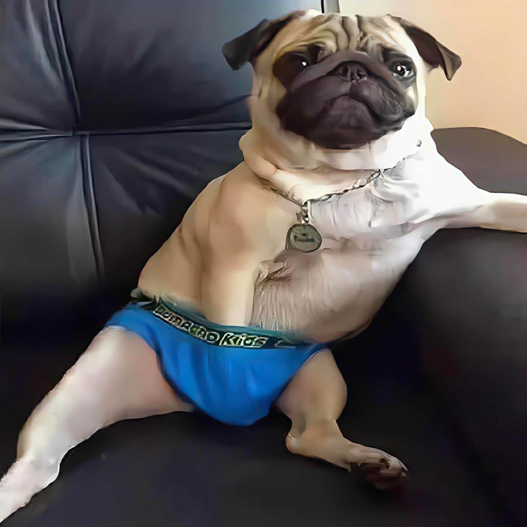 笑敬过往