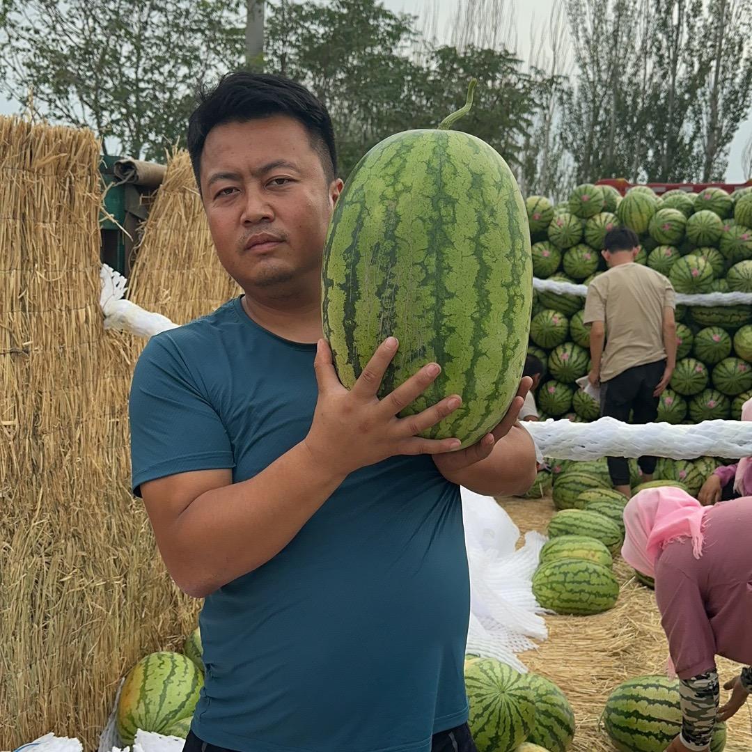 宁夏刘苍西瓜产地直发