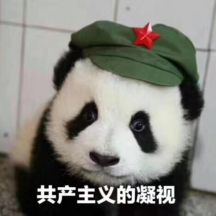 我想要种月亮🌙
