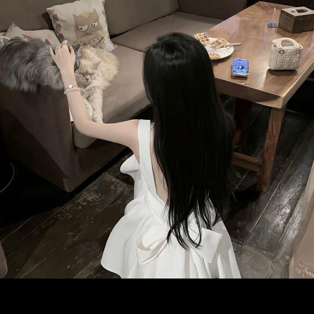 寂静的小狐狸