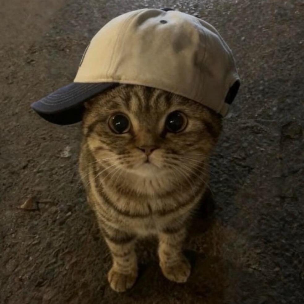 再等等