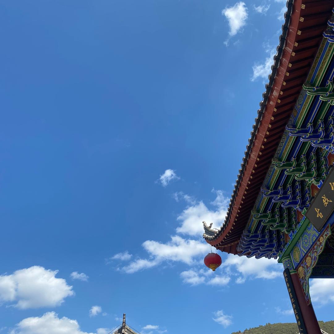 阿泽的小助理