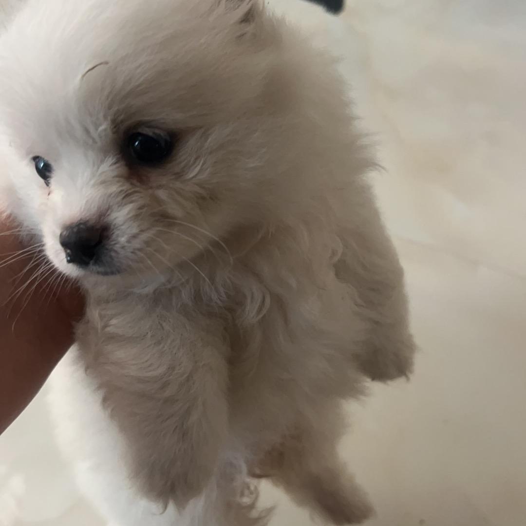 做一个坚强的女人