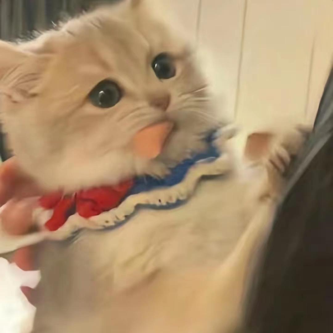 小欣