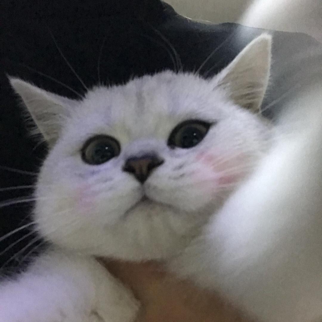 六七八九十.