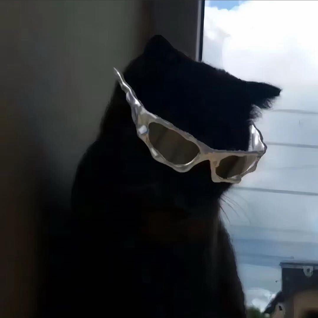 291
