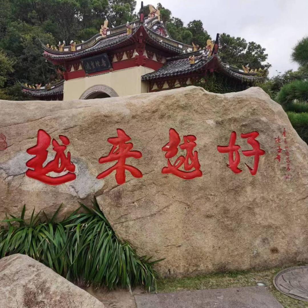 我亦飘零久