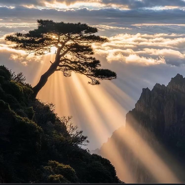 草木深