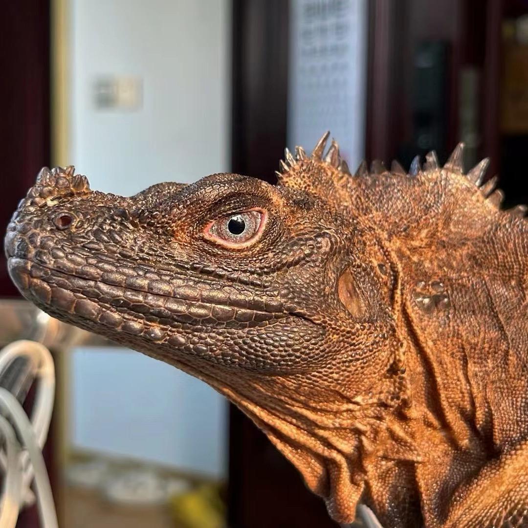 小伟🇹🇭🇹🇭🇹🇭