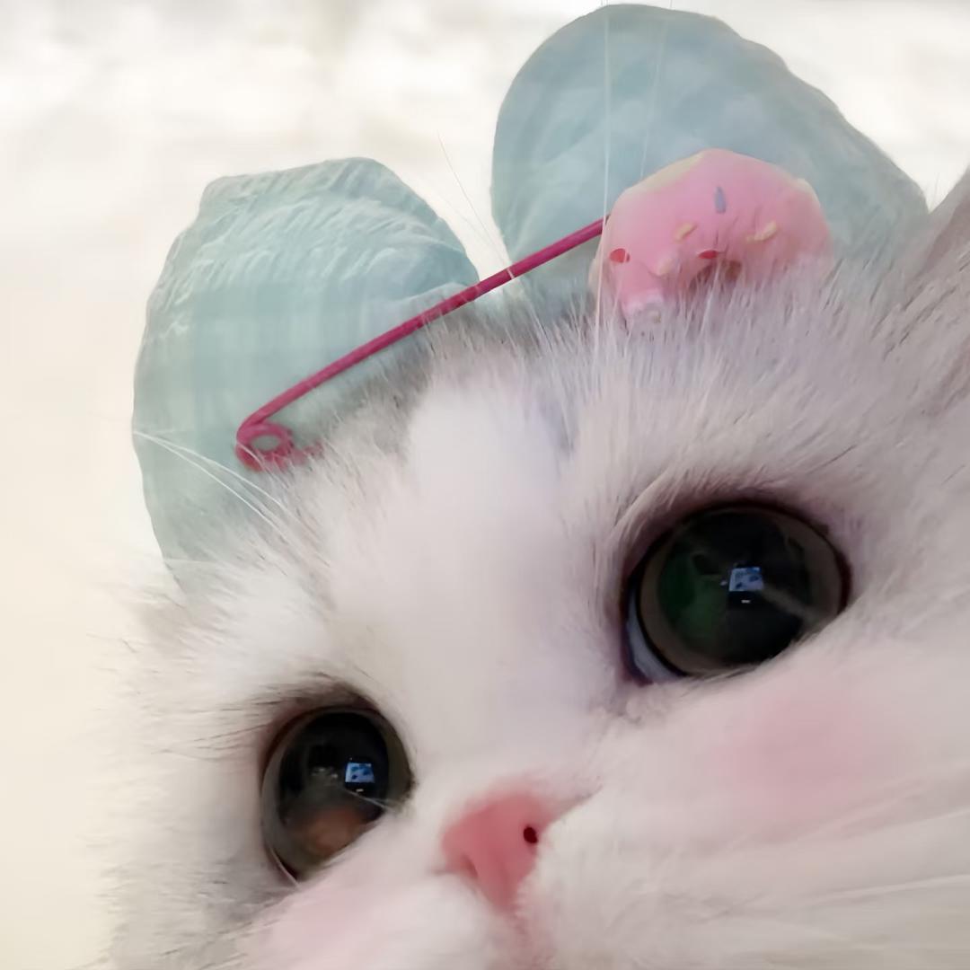 嘻嘻.