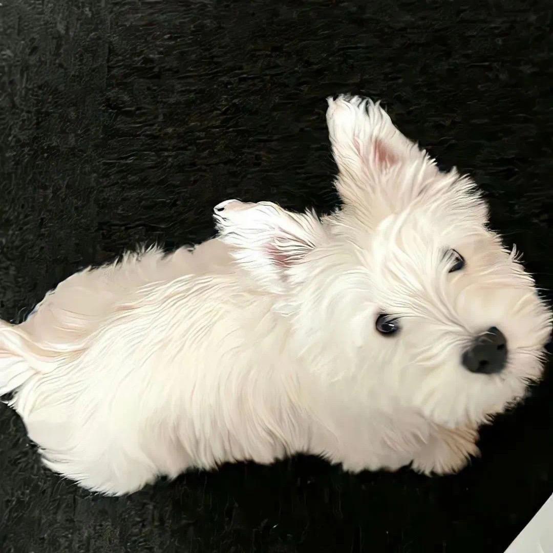 小u