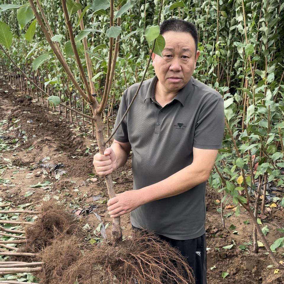 全文果树苗木专营店