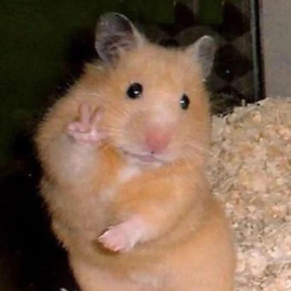 HEEheeo