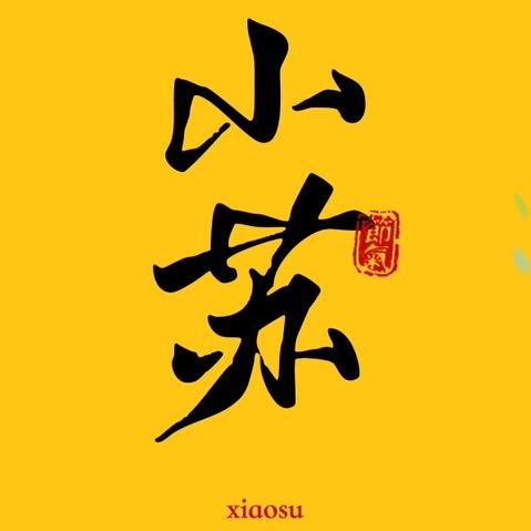 小苏定制日记（全屋定制）