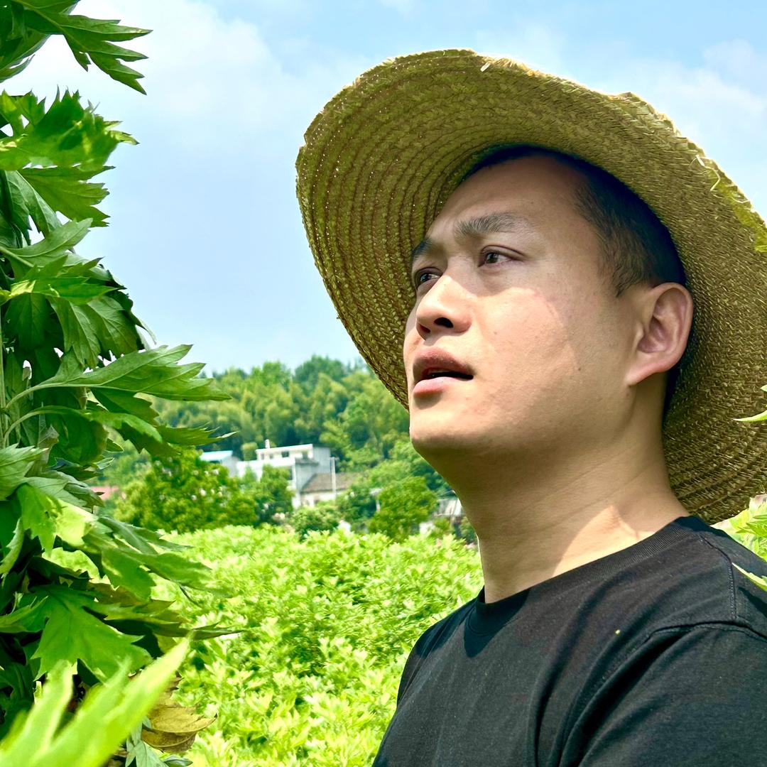 时珍草萃