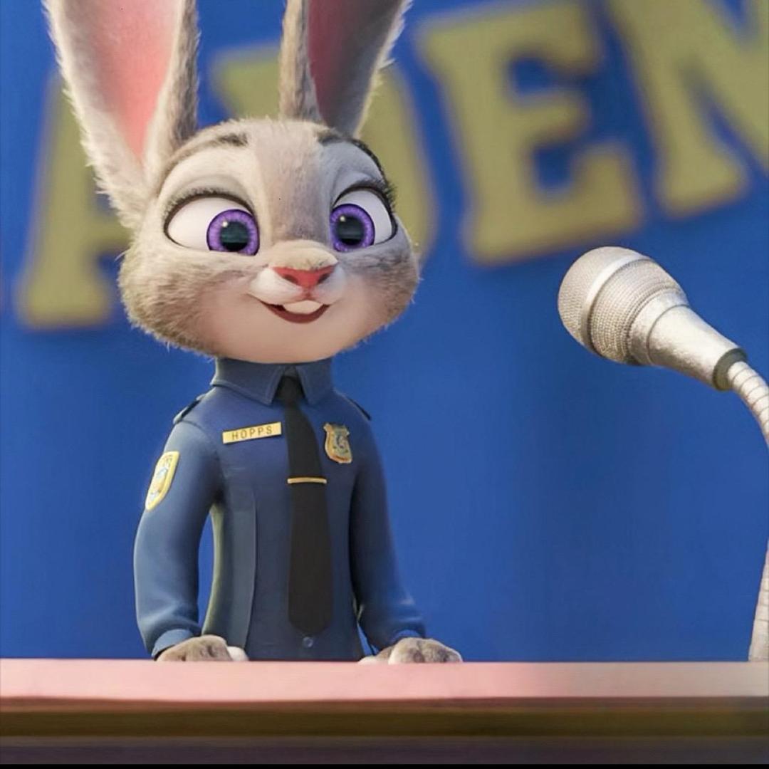 🐰