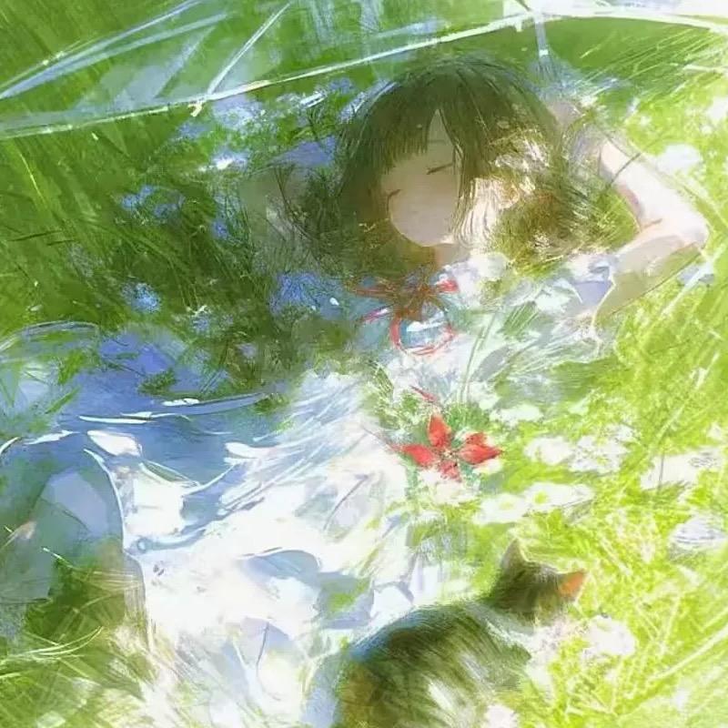森系淼淼