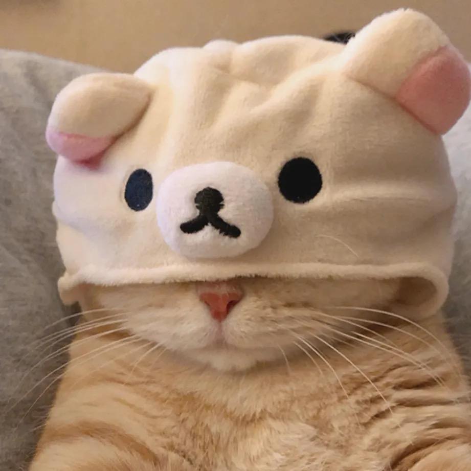 🌈卡比猪