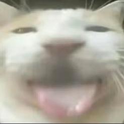 今天拉不出来