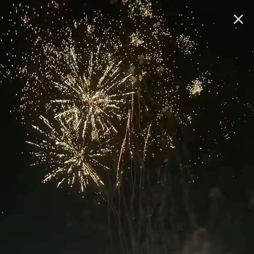 小杨