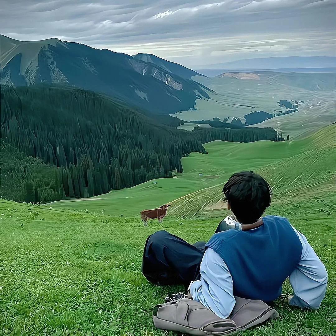 张老板说车（安全管家）