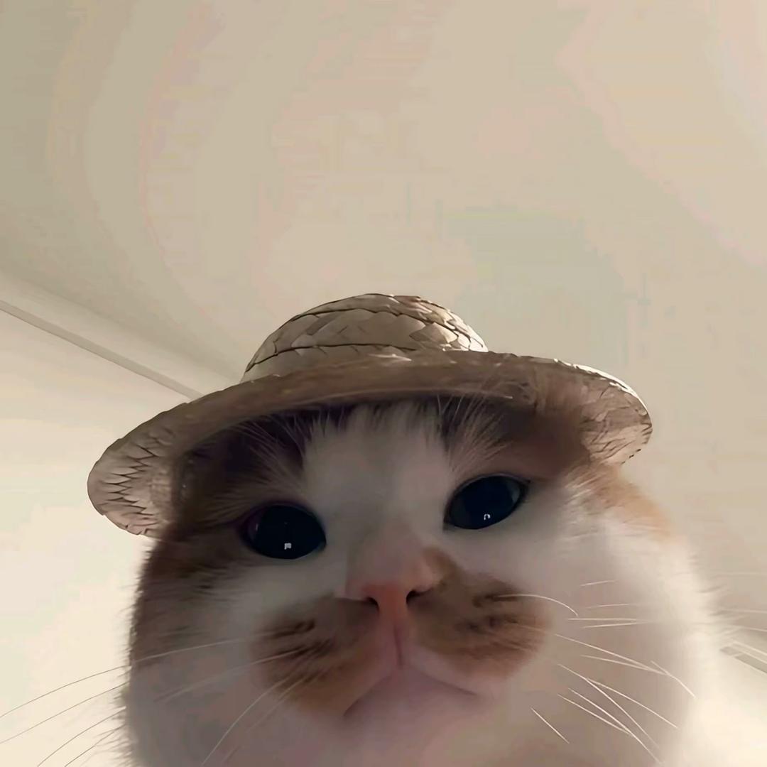 渴死的鱼