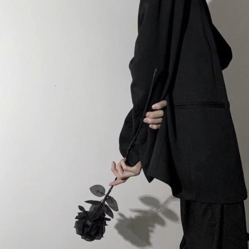 宋宋