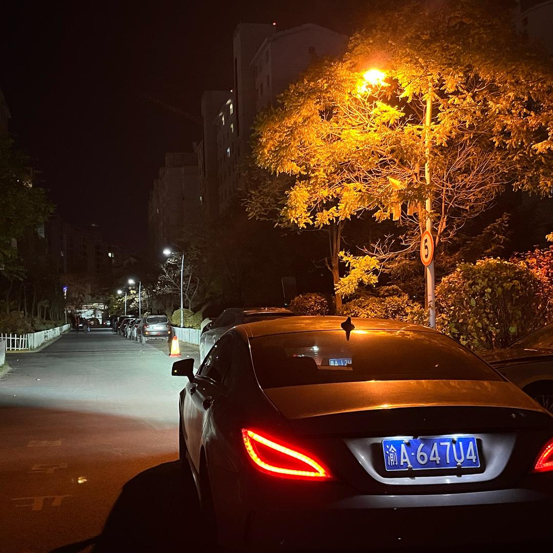 相见时难别亦难