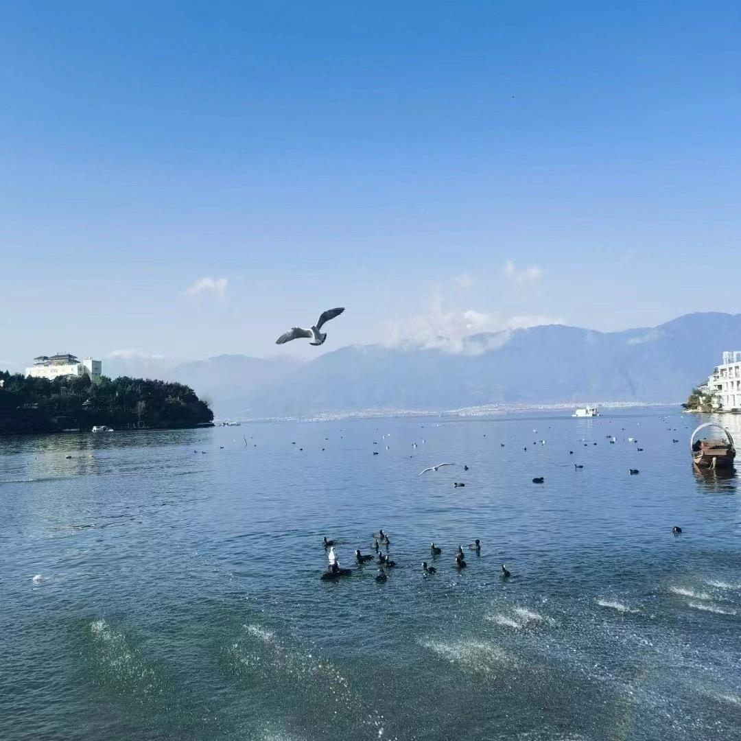 (高总企业号）星火燎原💕