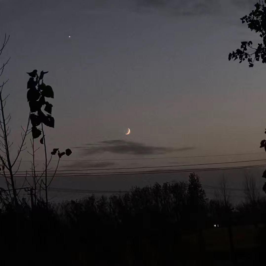 不如高卧且加餐