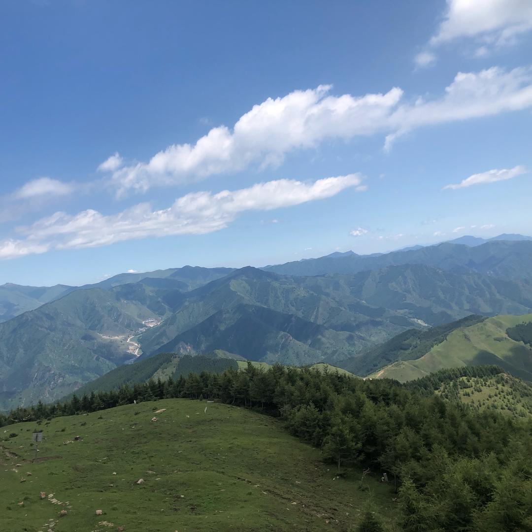小香槟