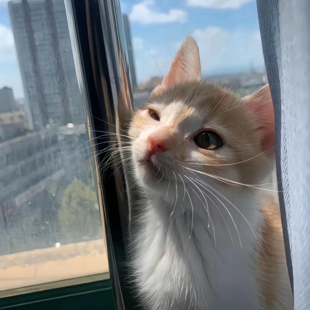 AAA王哥建材批发