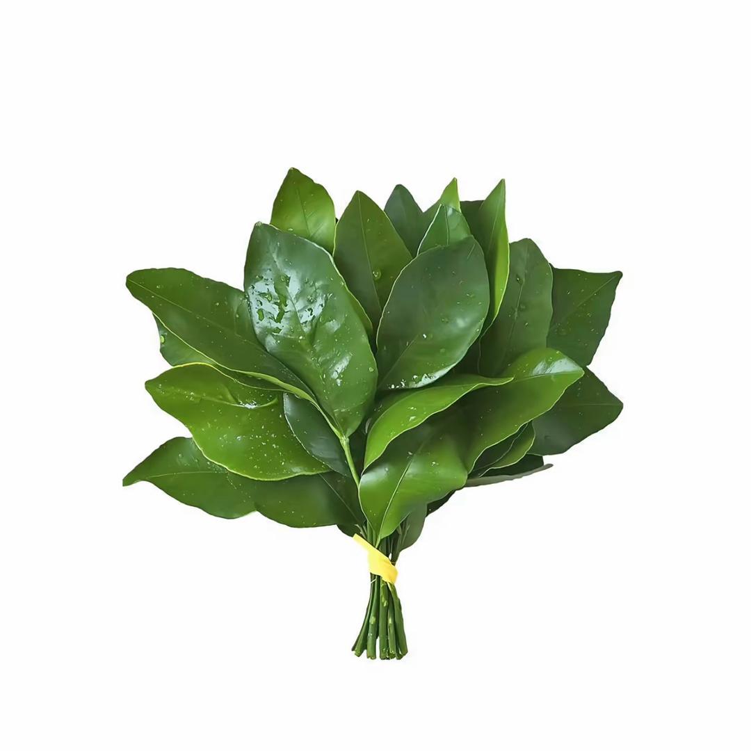 不瘦10斤不该网名