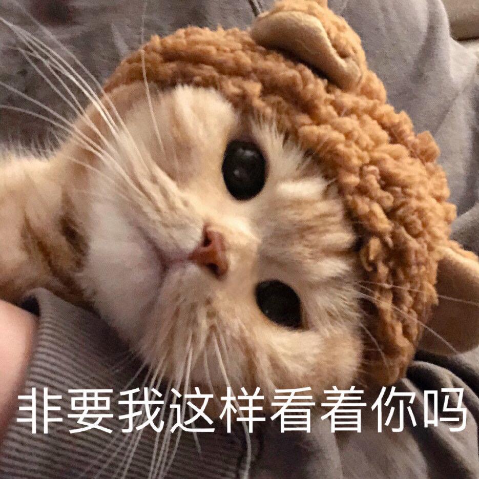 折耳根