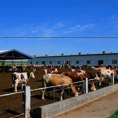刘壹手鲜卤食材工坊（金堂店）