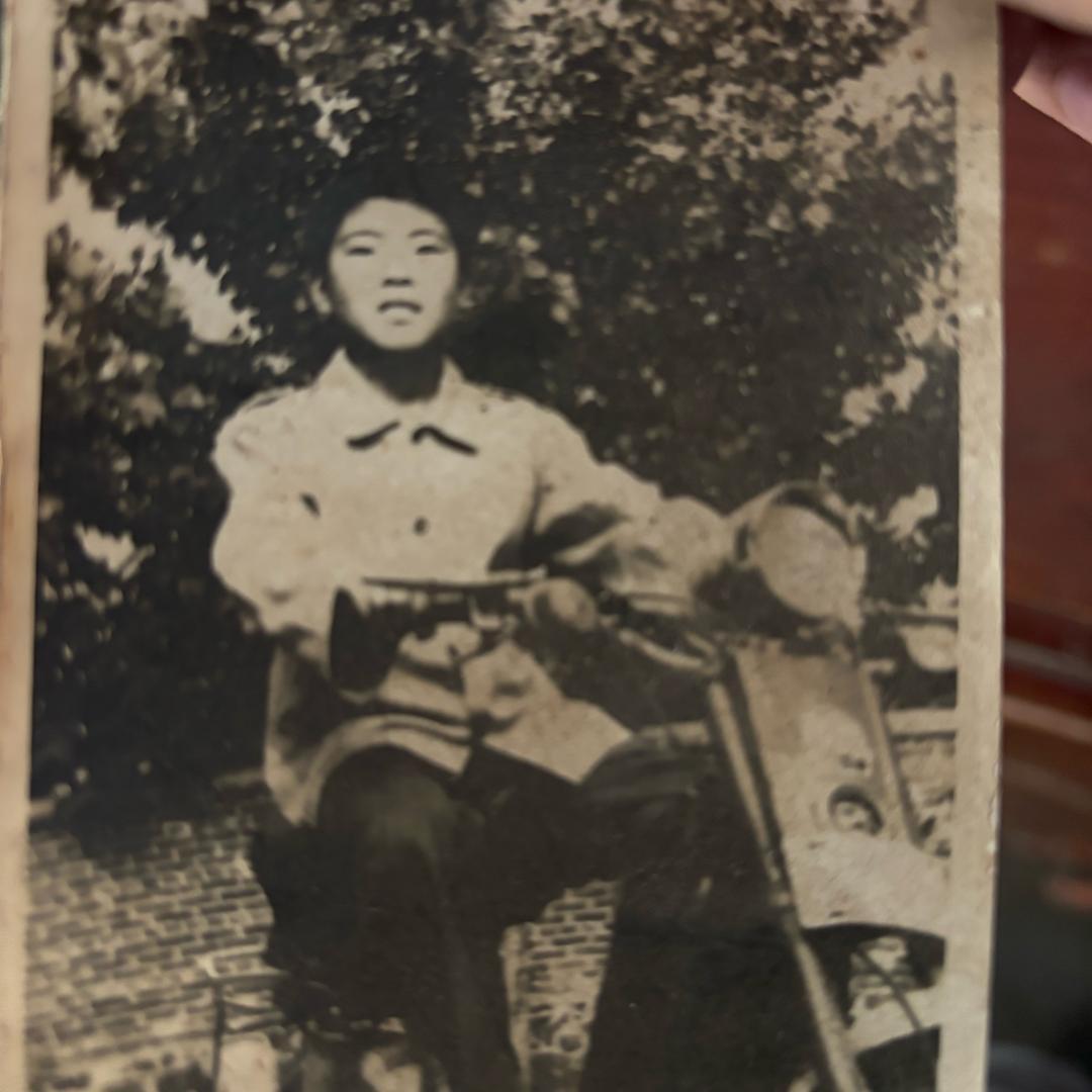 闪闪发光的发发