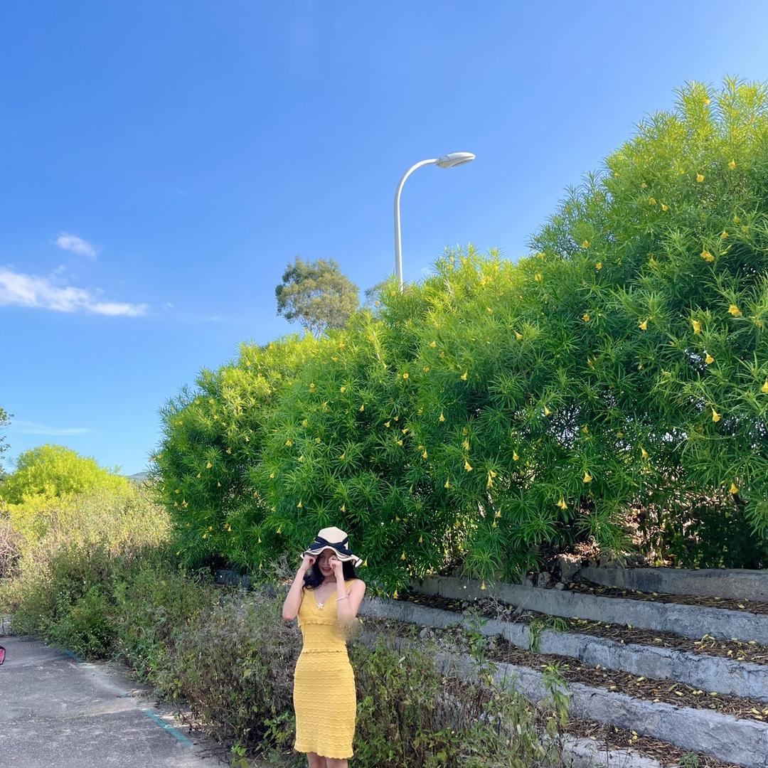 游鱼得水路亚（戴姑娘的小店）