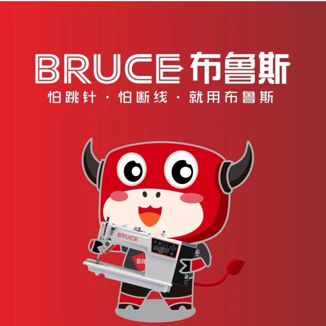 马鞍山市宸捷精品二手缝纫设备经销店