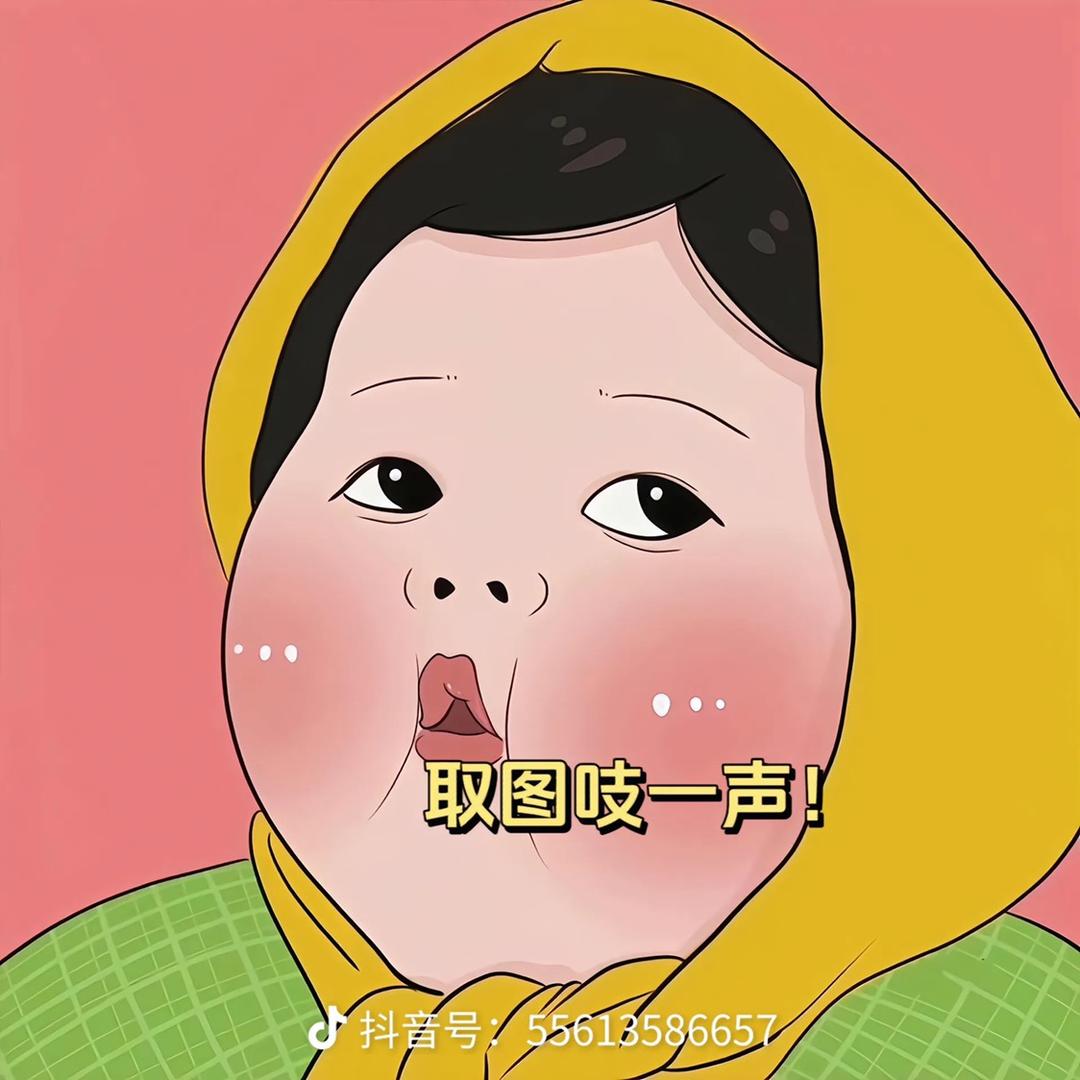 毛毛 豆豆 吖