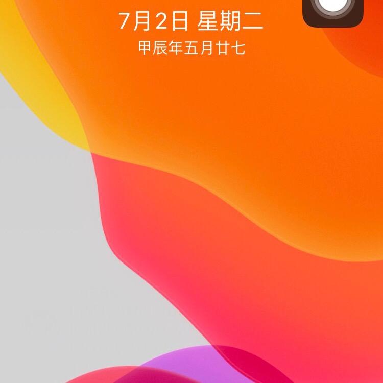 向日葵