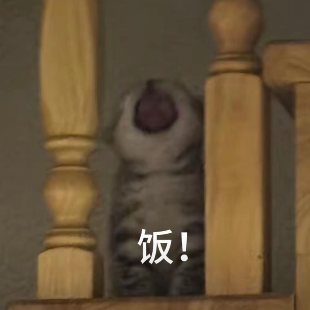 聪明勇敢有力气我都羡慕我自己