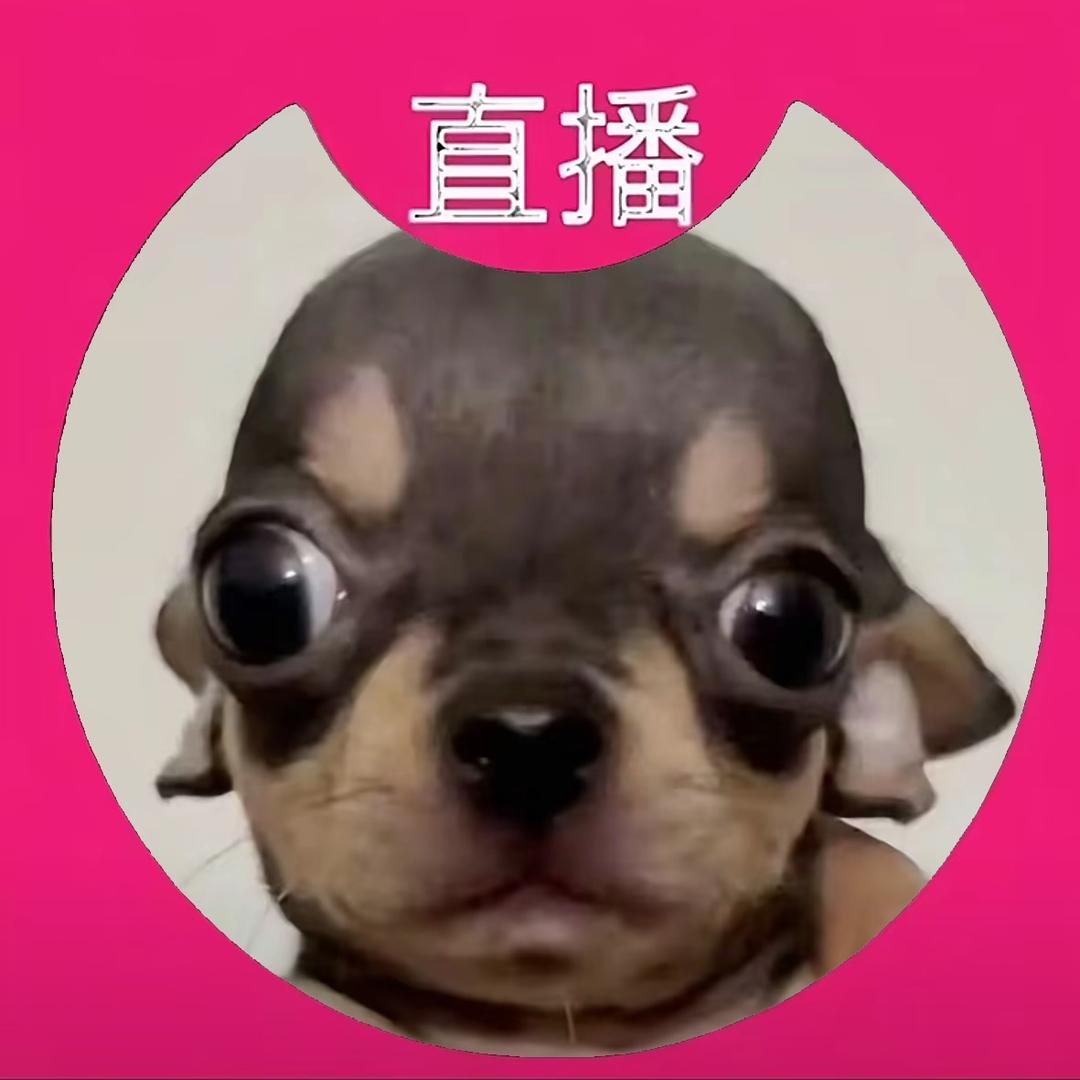 脸脸