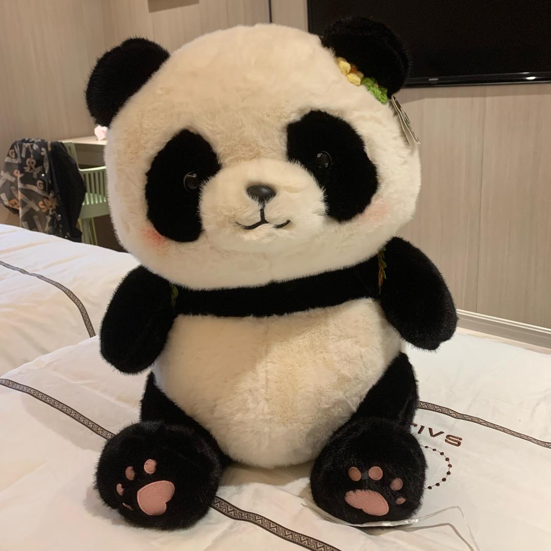 不懂鱼竿
