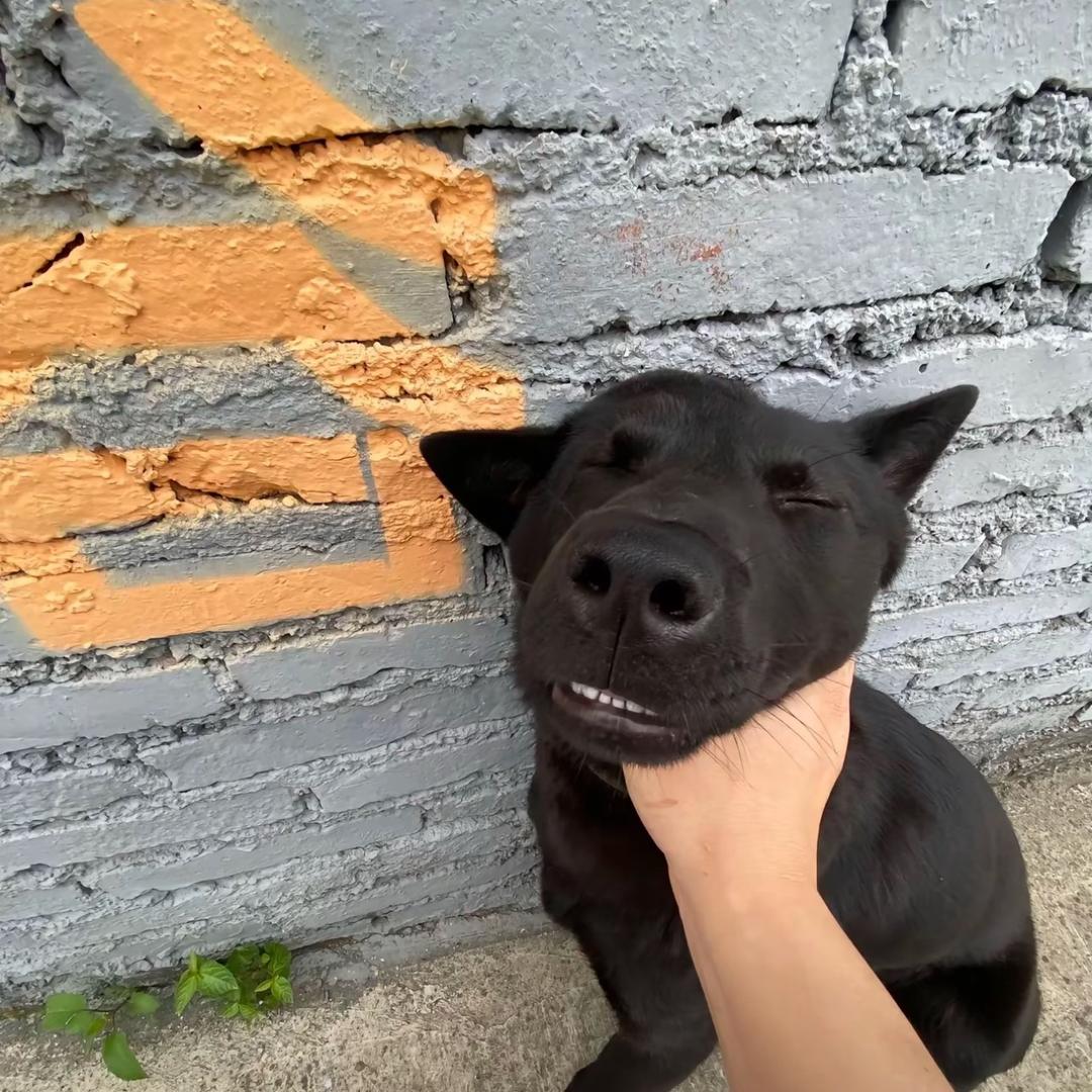 ？