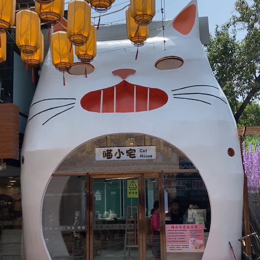 喵小宅猫猫咖