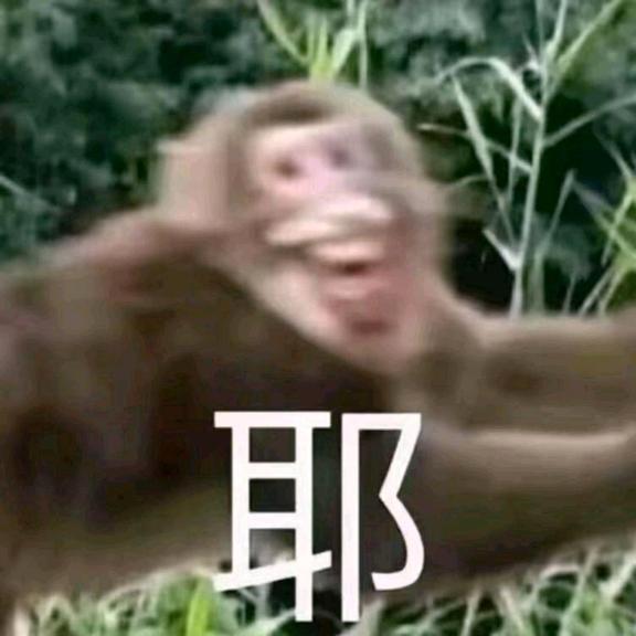 钮祜禄母猴
