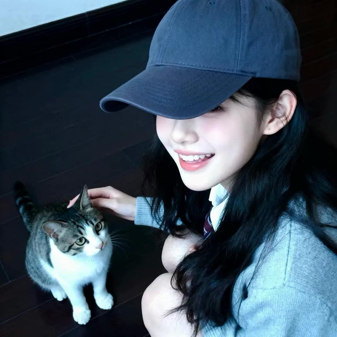 呆呆🐟