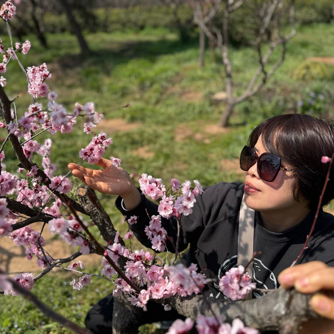 德国马牌观城店（伟平轮胎）