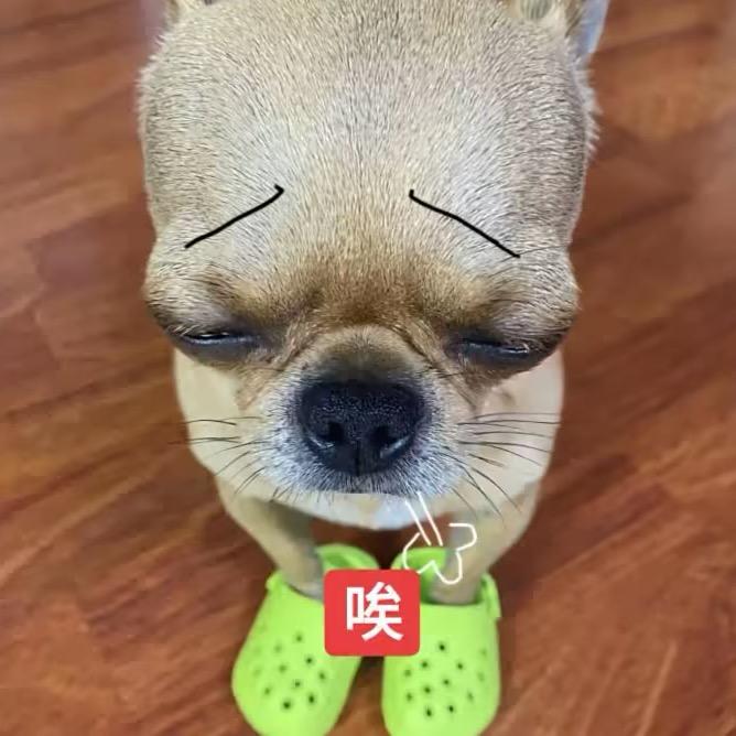 叫我欢欢吧